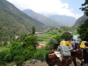 Everest Base Camp: the green Dudh Koshi Valley surrounds the raging waters below