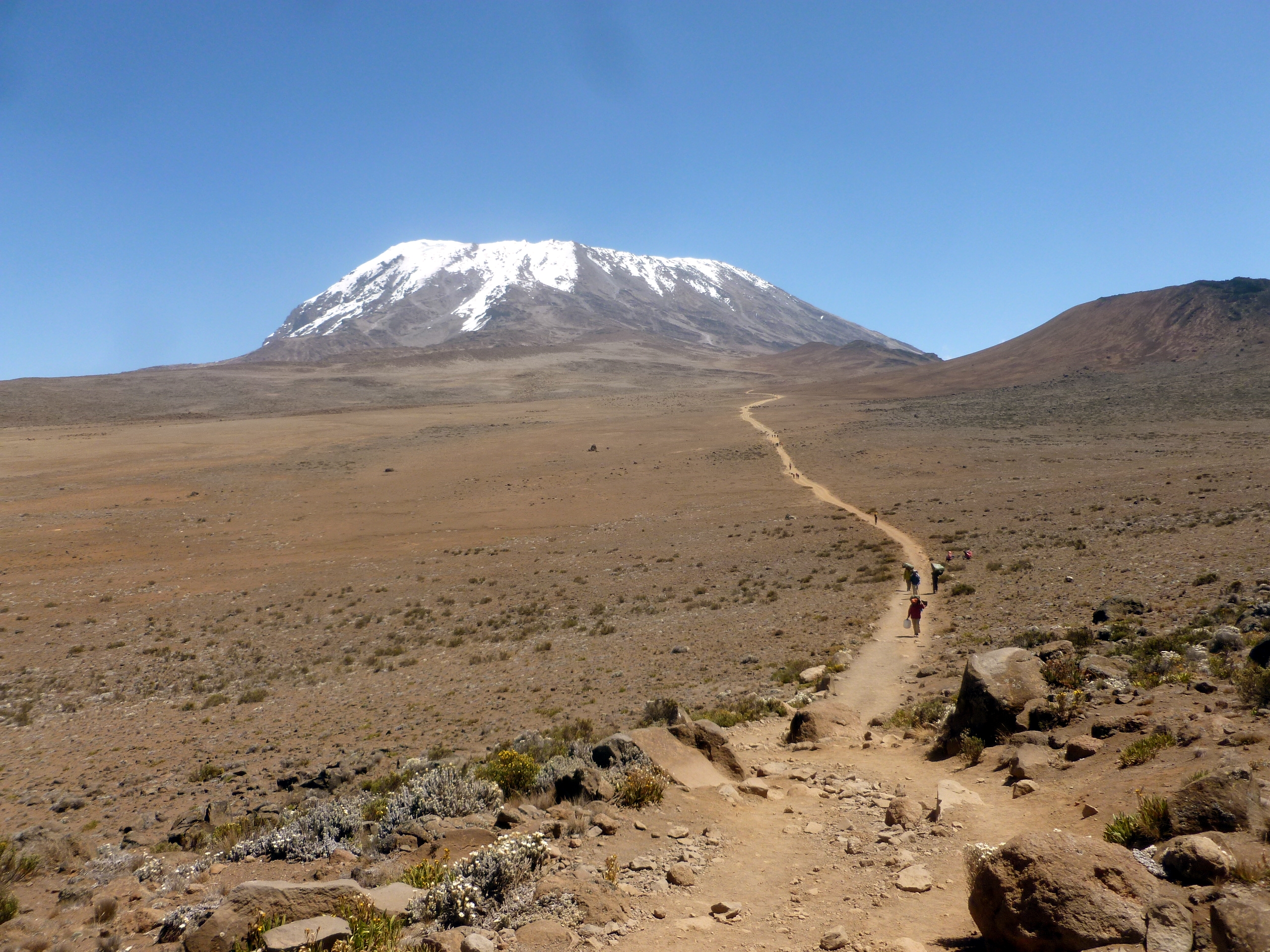 View of the snow cap on Uhuru
