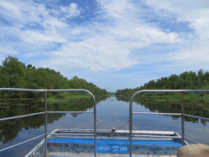 Airboat ride in Lake Panosoffkee