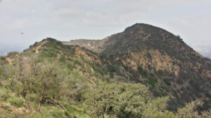 Cahuenga Peak