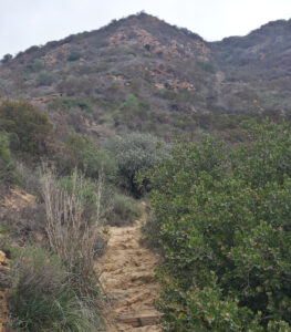 Cahuenga Peak