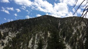 Cucamonga Peak