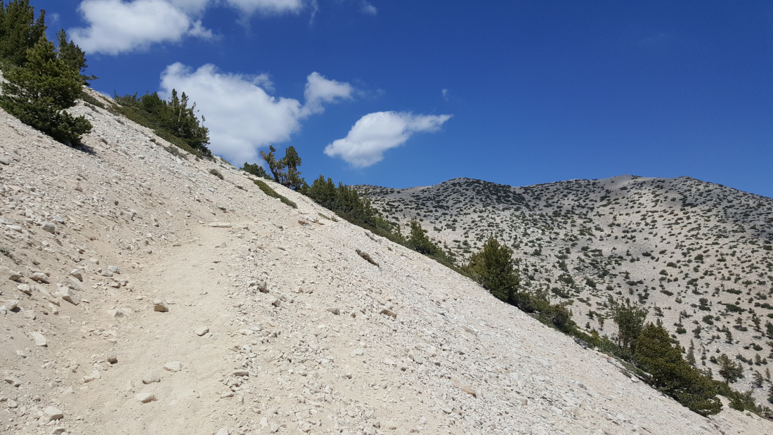 Near the summit of San Gorgonio Mountain, many ridgelines meet at different angles