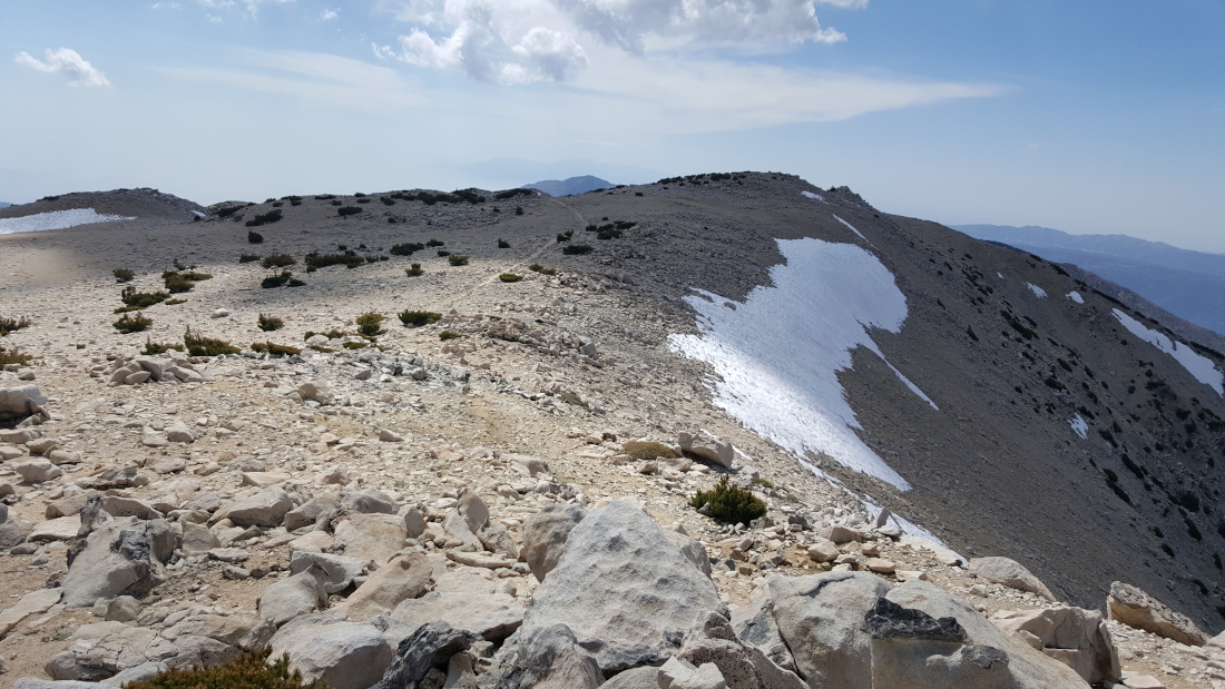 On the shady side of San Gorgonio Mountain, there's a long narrow patch of snow