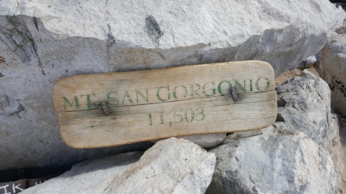 A worn wooden sign nestled in rocks has been carved with San Gorgonio and its elevation
