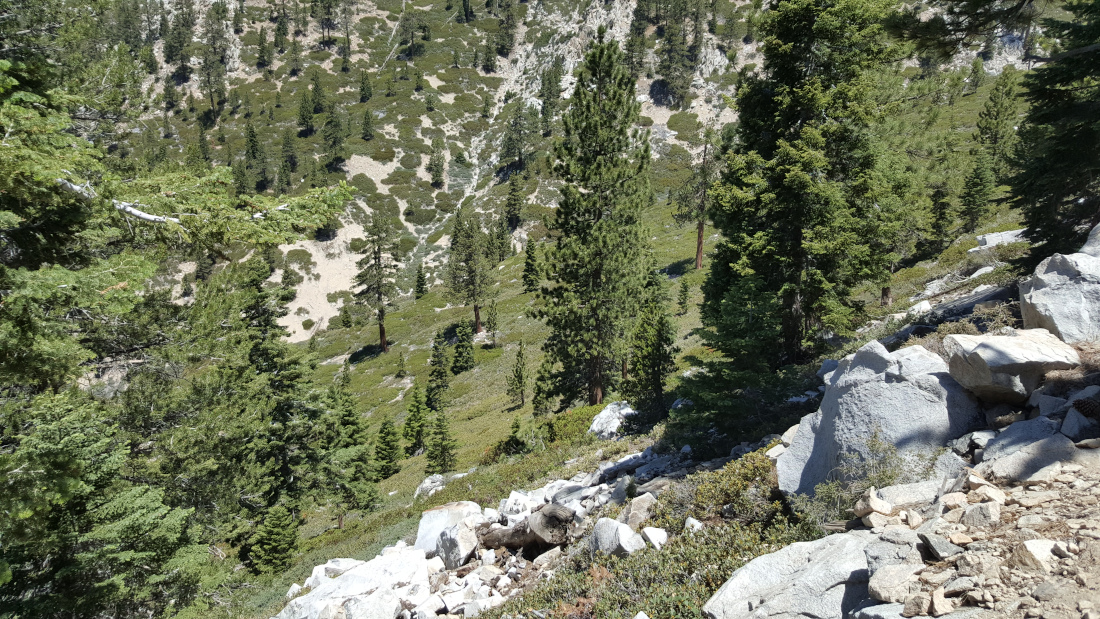 A green slope