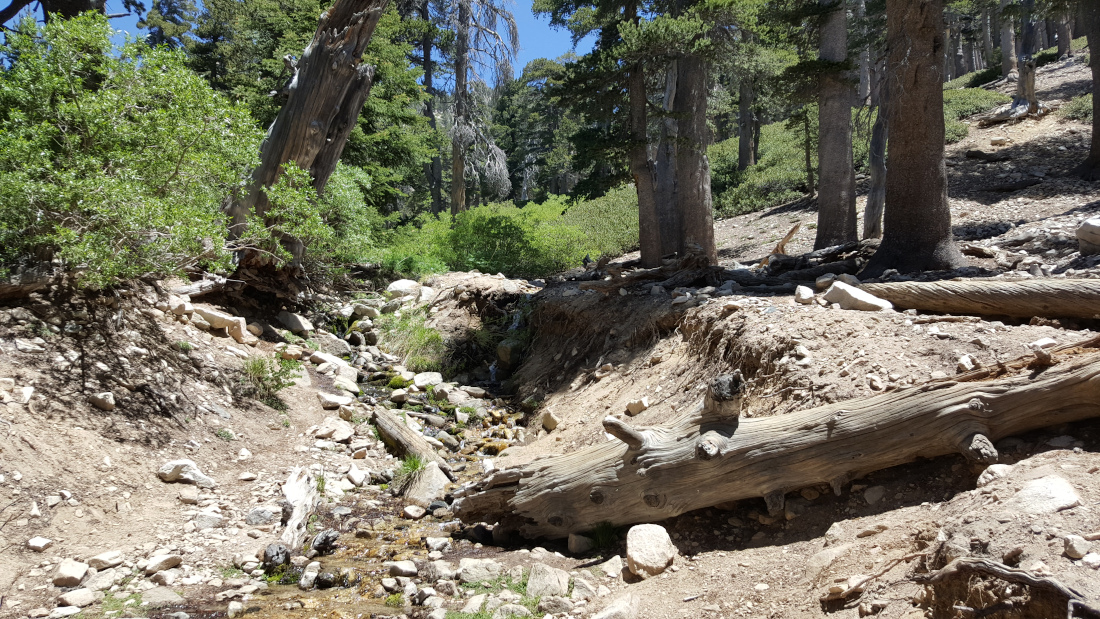 High Creek is dry in summer