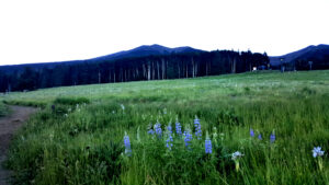 Humphreys Peak