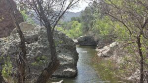 Malibu Creek State Park