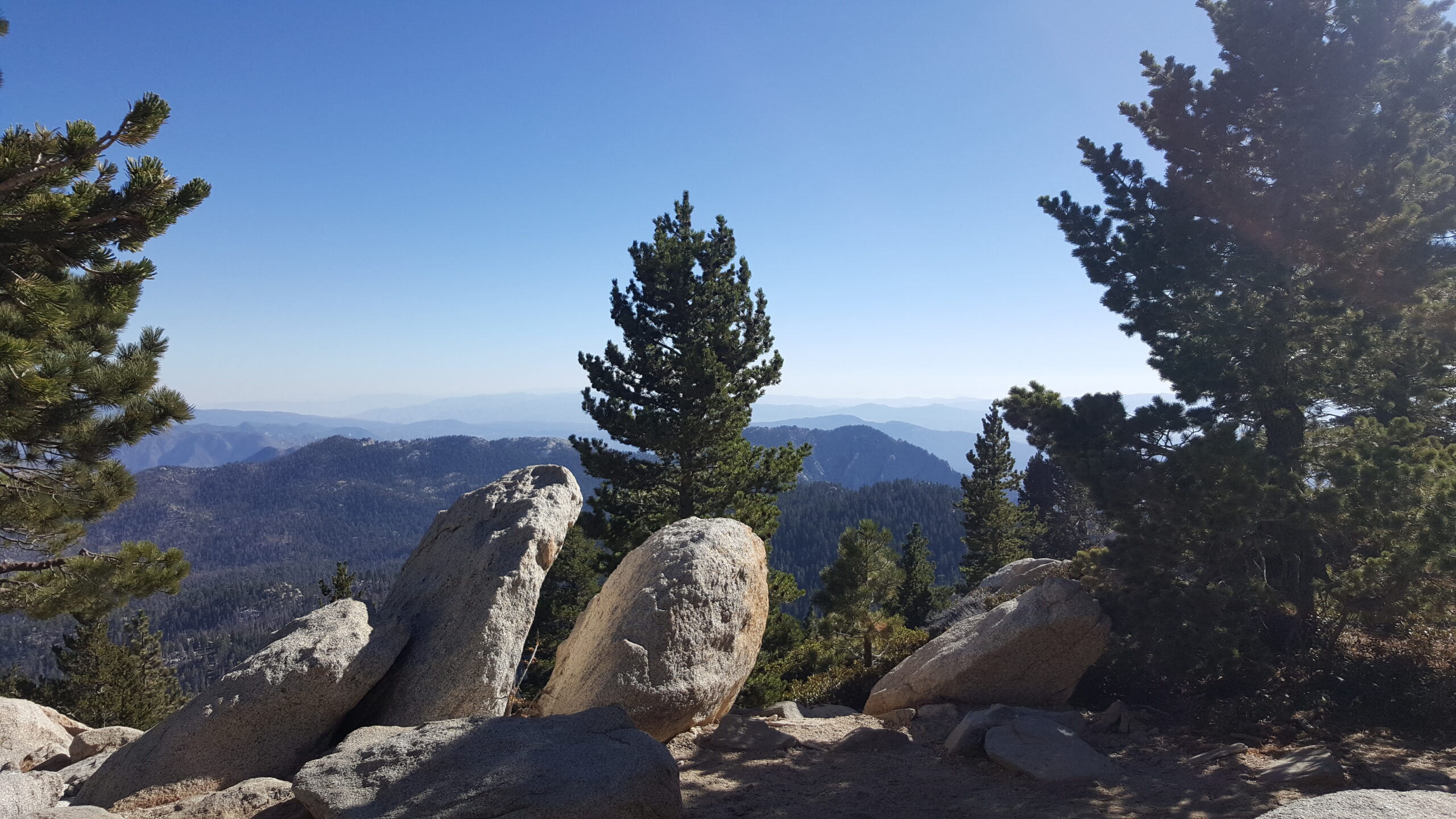 Views from Wellman Divide