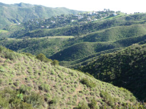 Solstice Canyon