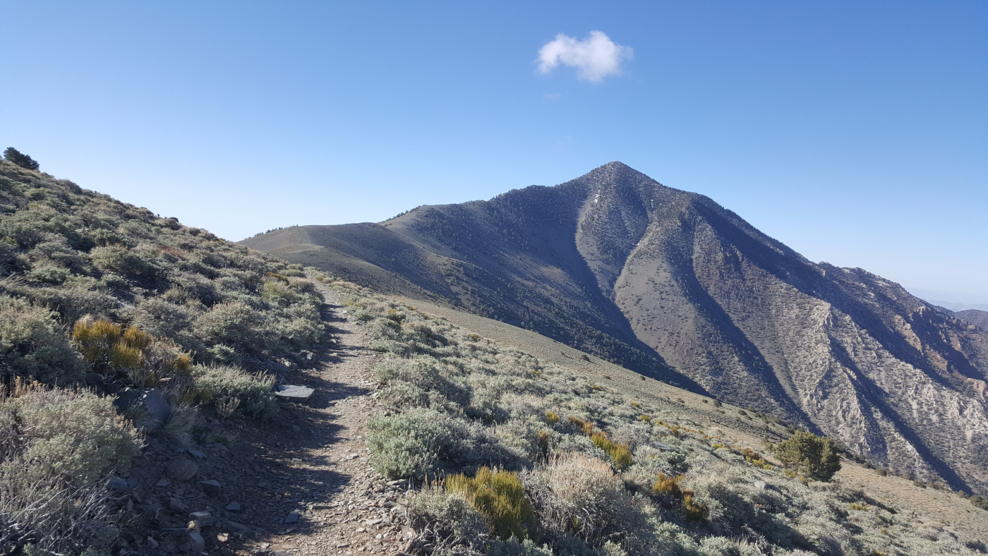 Telescope Peak