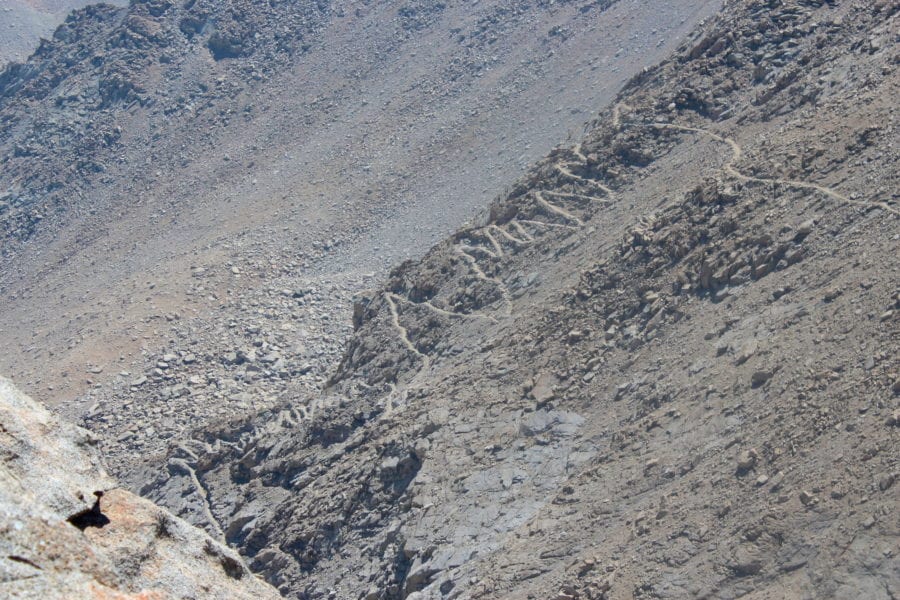 The 99 switchbacks forms a literal zig zag line on the slope to the ridge