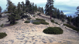 Winston Peak