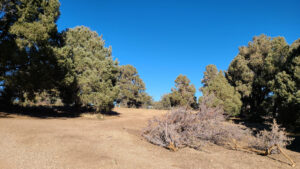 Pinyon Ridge