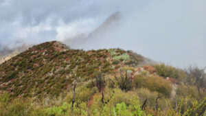 Rattlesnake Peak