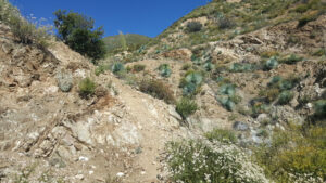 Rattlesnake Peak