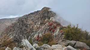 Rattlesnake Peak