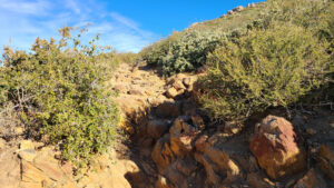 Garnet Peak