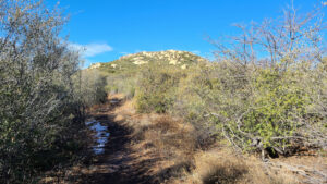 Oakzanita Peak