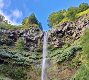 Parque da Grená