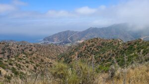 Trans-Catalina Trail