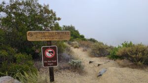 Trans-Catalina Trail