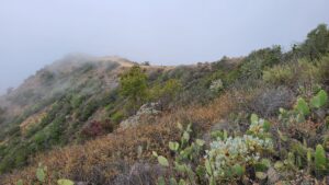 Trans-Catalina Trail