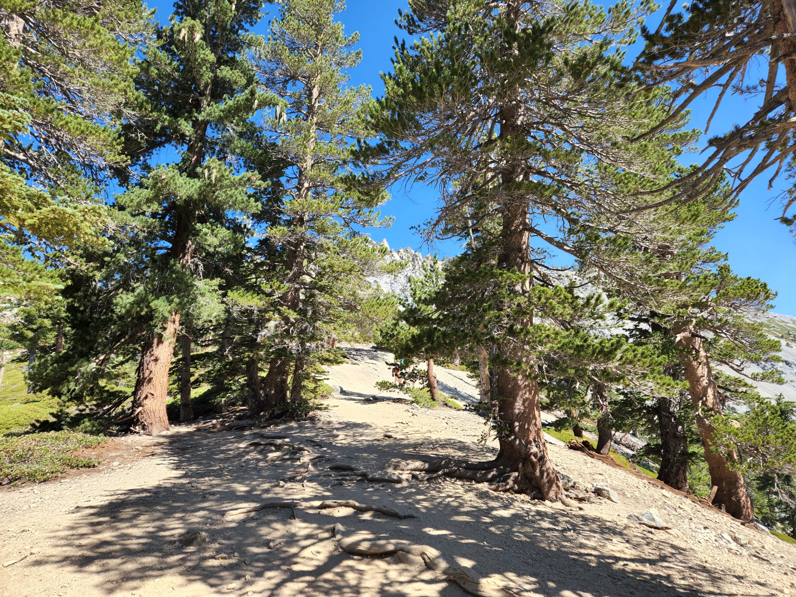 Hike Mt. Baldy via Ski Hut