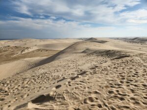 Sandboarding in Qatar