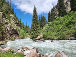 Devich'i Kosy Waterfall