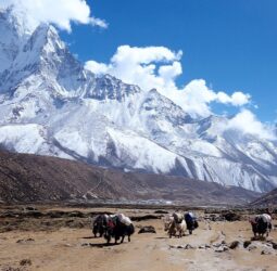 Nepal