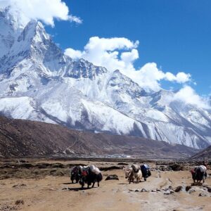 Nepal