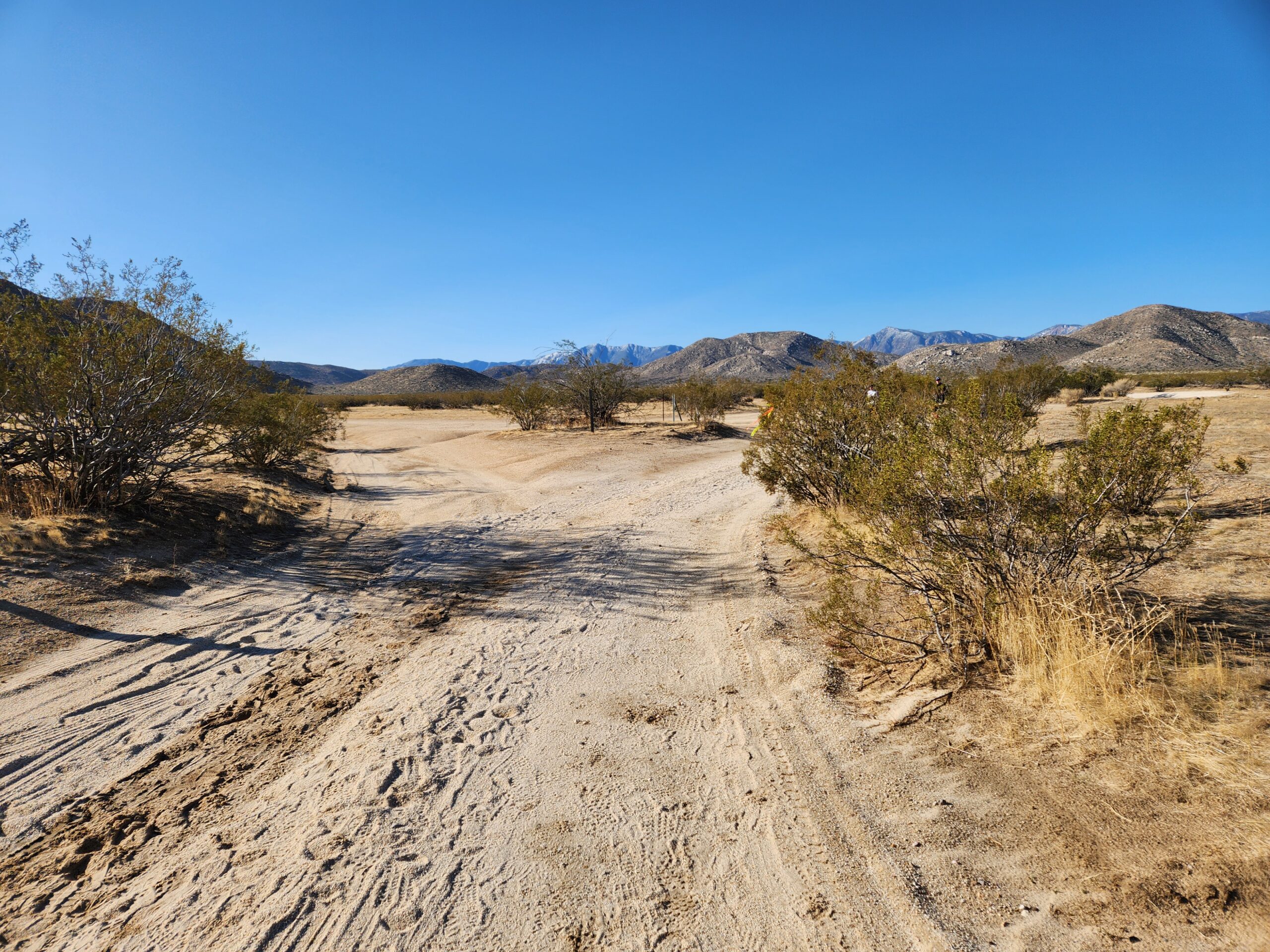 Old West 50k