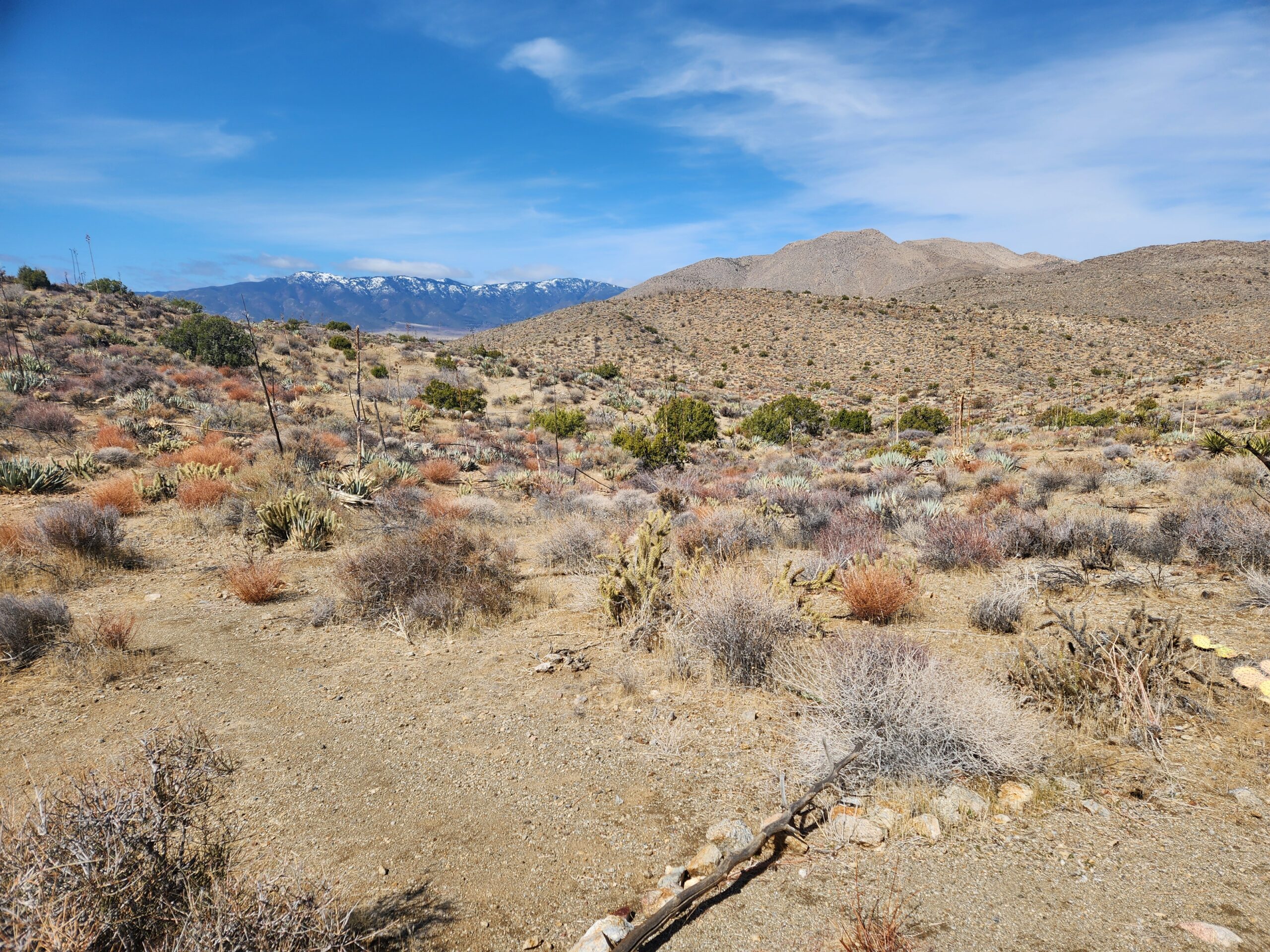 Old West 50k