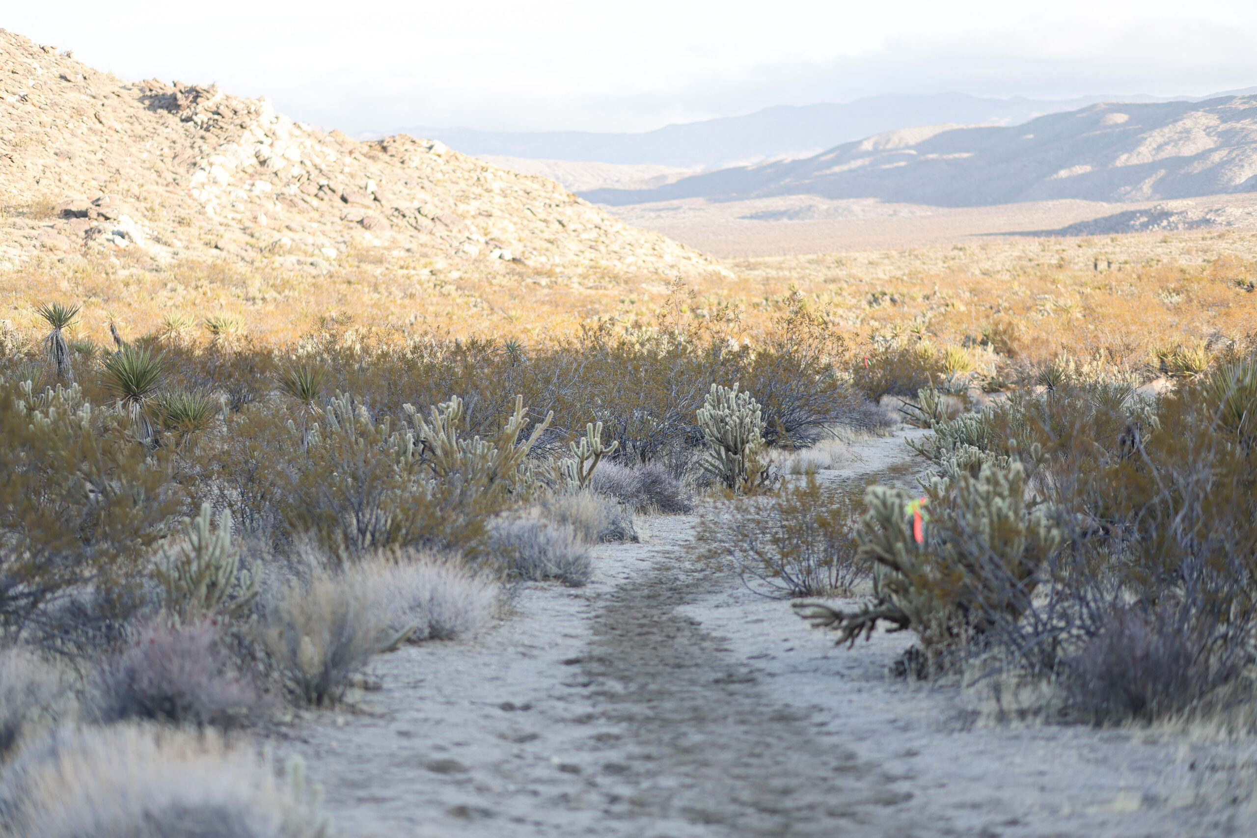 Old West 50k