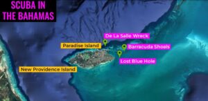 Learn to SCUBA Dive in the Bahamas