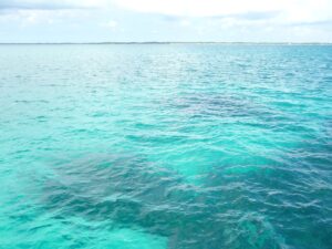 Learn to SCUBA Dive in the Bahamas