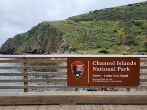 Kayaking by Santa Cruz Island Channel Islands