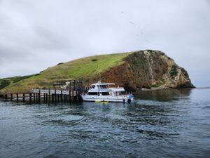 Kayaking by Santa Cruz Island Channel Islands