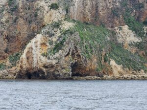 Kayaking by Santa Cruz Island Channel Islands