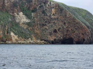 Kayaking by Santa Cruz Island Channel Islands