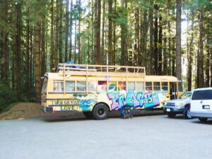 Climb a redwood