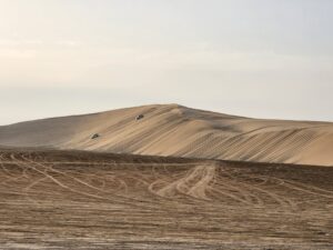 Dune bashing in Qatar