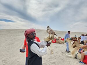 Dune bashing in Qatar