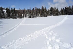 Snowshoeing in the Rocky Mountains