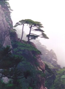 Huangshan