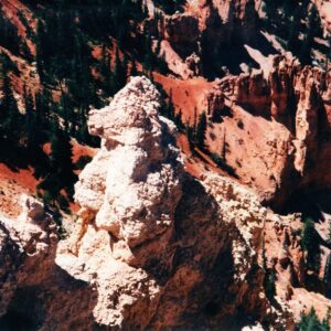 Bryce Canyon - Poodle