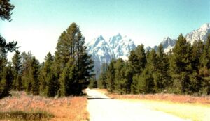 Grand Teton