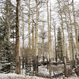 Rocky Mountain National Park